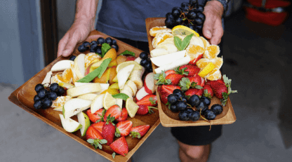 Holistic-Nutrition-and-Muscular-Self-Therapy-Specialist