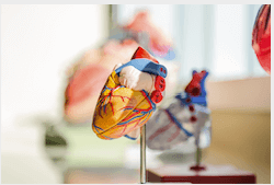 holistic-health-online-course-cholesterol-1