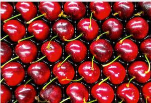 nutrition-online-course-tart-cherries