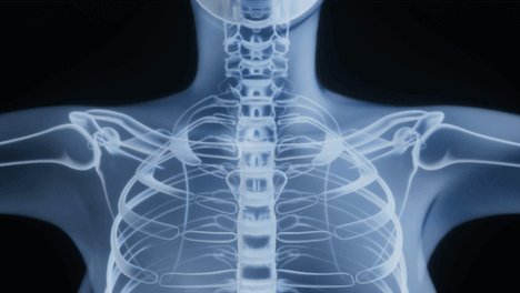 spinal-connection-course